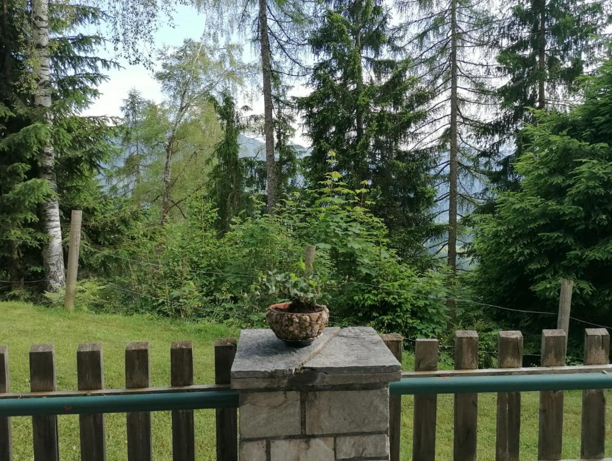 Ferienhaus Tauernblick 蓬高地区圣法伊特 外观 照片